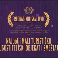 10. PREDRAG MILISAVLJEVIC.